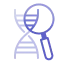 Test genético bacteriológico periodontal